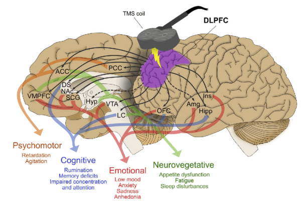 Screenshot 2024-02-09 095336